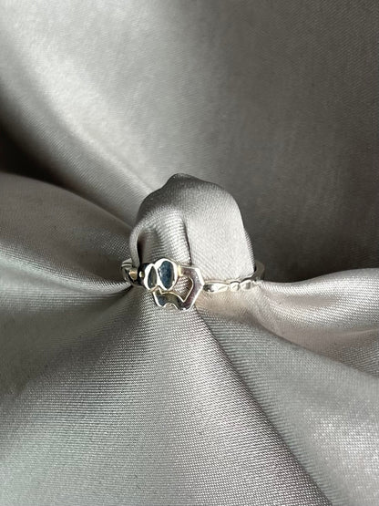 Anillo Elefante