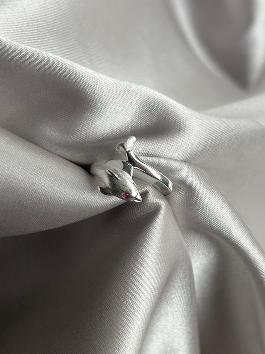 Anillo Delfín
