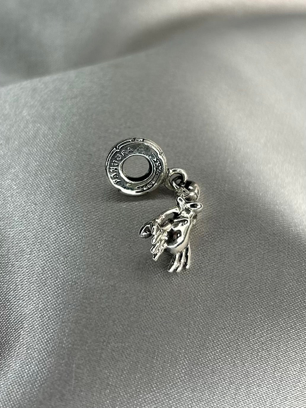 Charm Sebastián